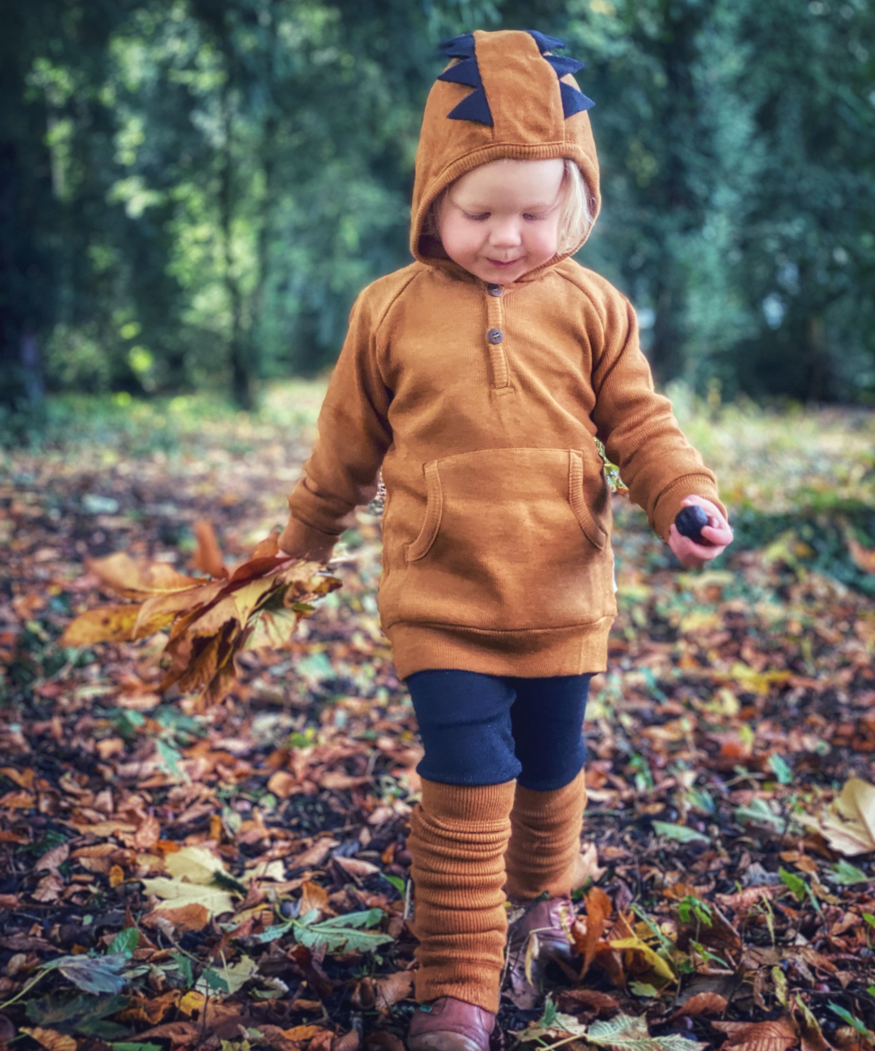 PREORDER Dino Hoodie with Big Pocket and Pointed Back Hem (Boiled Wool Spikes)