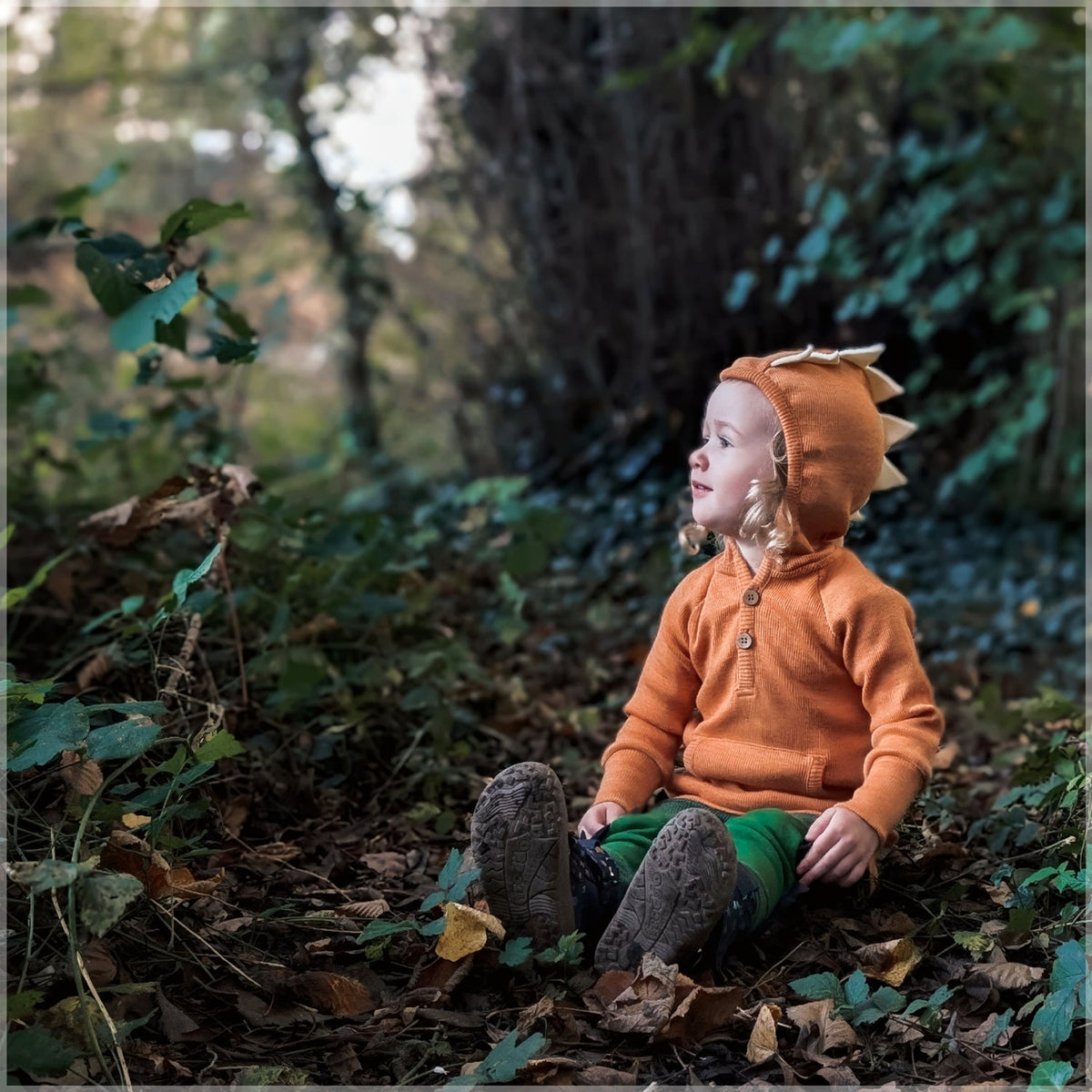 Kids Merino Wool Dino Hoodie Set | ManyMonths® - Wee Seedling